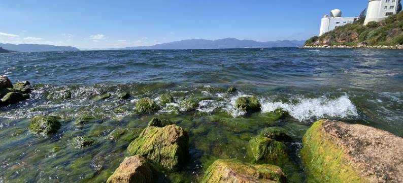 抚仙湖碧蓝民宿(澄江万科太阳山小镇店)图片