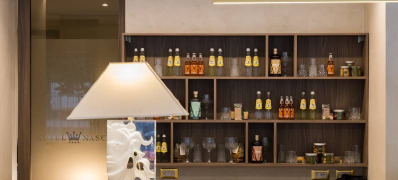 纳斯科酒店(Hotel Nasco)图片