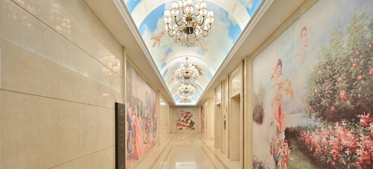 阳江维也纳国际酒店图片