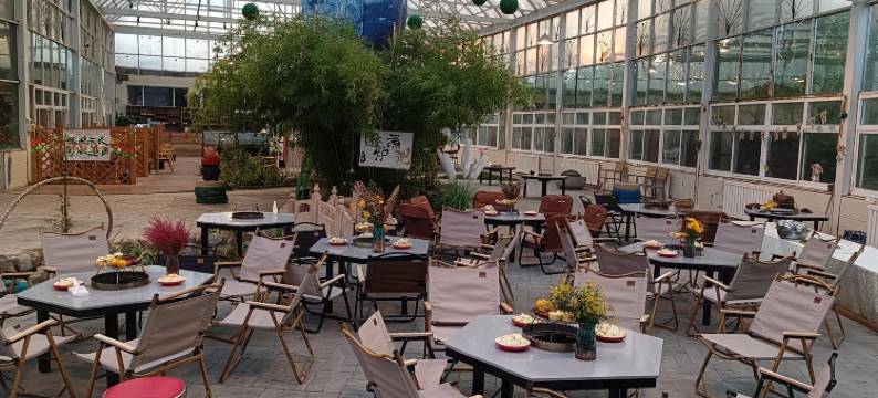 青果树屋营地图片