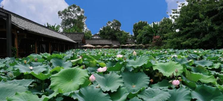维也纳国际酒店(成都大运会体育中心店)图片