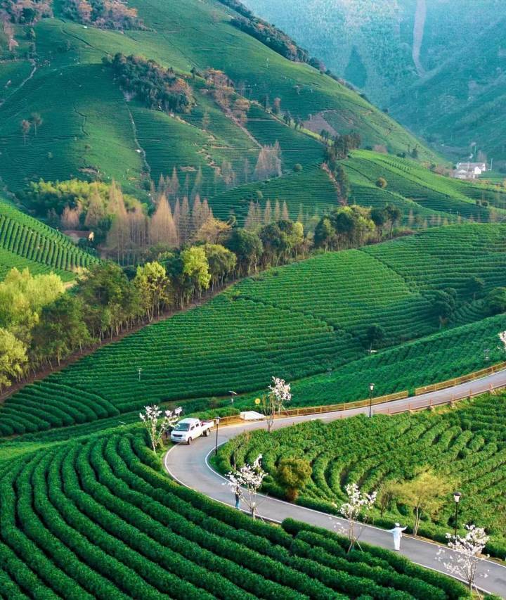 安吉过山听云GUOSHAN·山奢温泉度假酒店图片