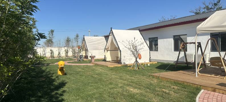 东营孤岛镇槐林人家图片