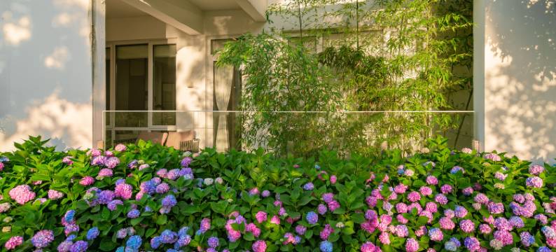 郁园乡野度假村图片