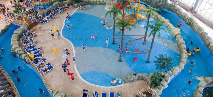 Holiday Inn Resort Alpensia Pyeongchang图片