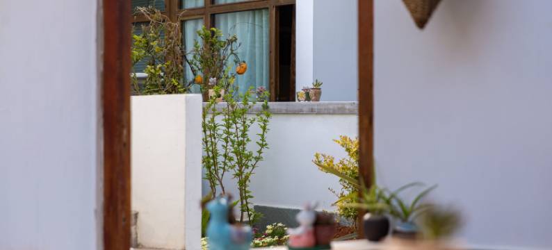 束河西舍云系设计庭墅图片