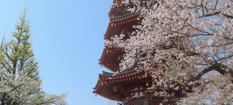 川崎KINGSKYFRONT东急REI酒店(Kawasaki King Skyfront Tokyu Rei Hotel)图片