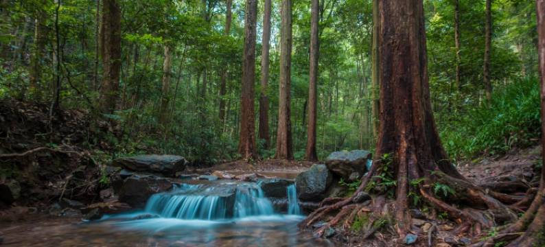 杭州沐居民宿(西湖景区店)图片