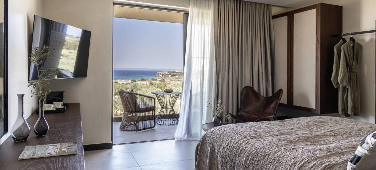 为成人设计的King Jason Zante(King Jason Zante – Designed for Adults)图片