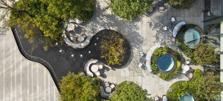 成都兴隆湖润扬希尔顿逸林酒店(西博城店)图片