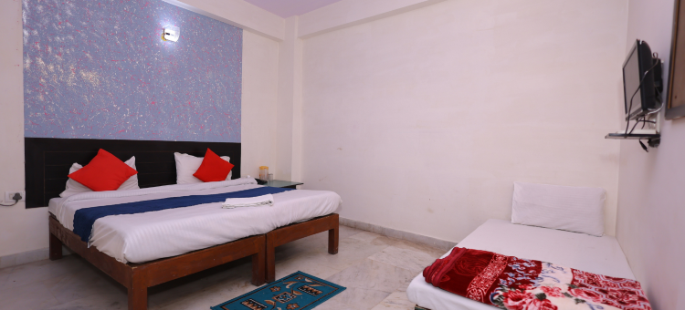 诺沃阿格拉酒店(Hotel NoVo Agra)图片