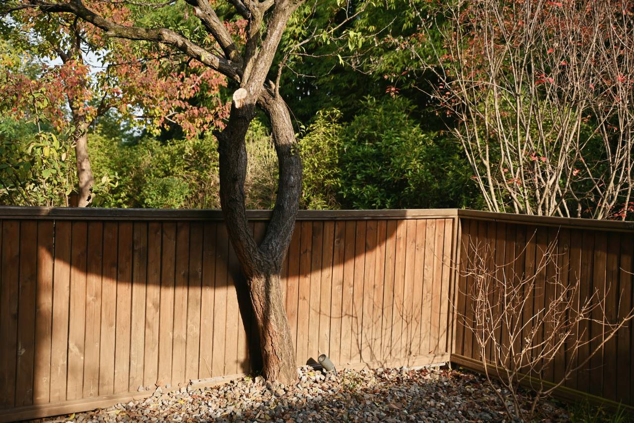 巴中恩阳花间堂·米仓道图片