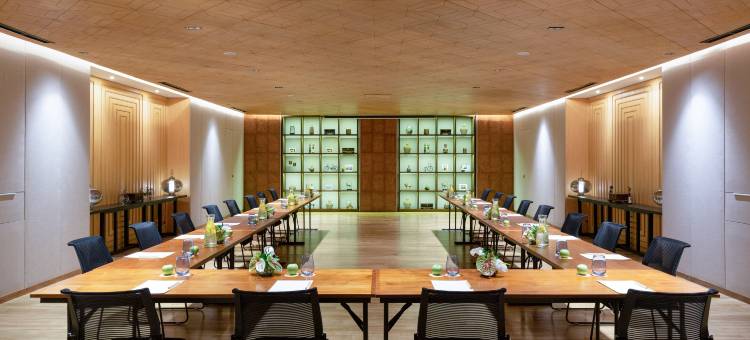 巴厘岛美利亚帕拉提苏酒店(Paradisus by Meliá Bali)图片