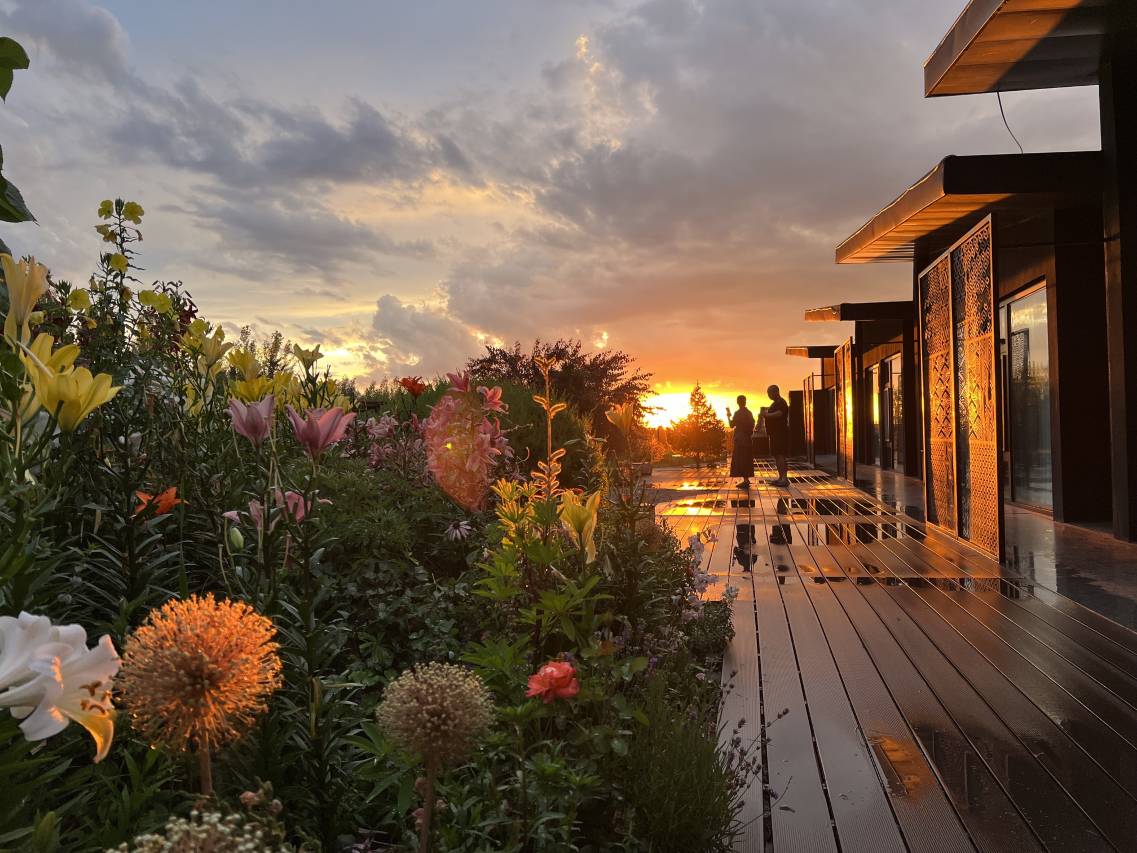 那拉提乌孙杉云居图片