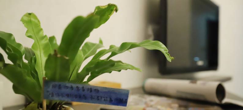 夢想12旅店图片