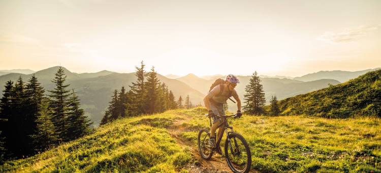 菲伯布伦全套房度假村(All-Suite Resort Fieberbrunn)图片