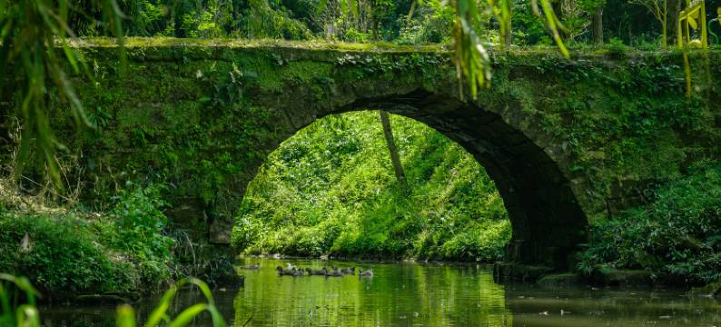 邛崃半山石院民宿图片