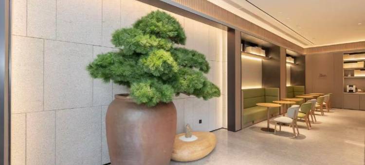 全季酒店(桂林象鼻山景区解放桥店)图片