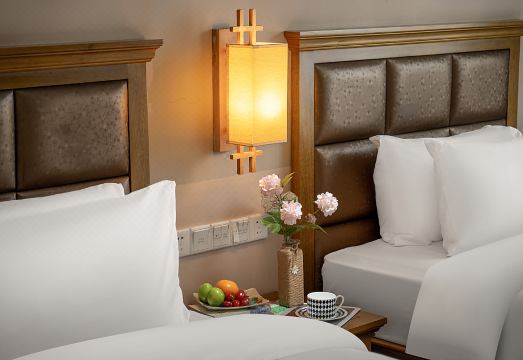 Mansion   Inn. Hotel Overview