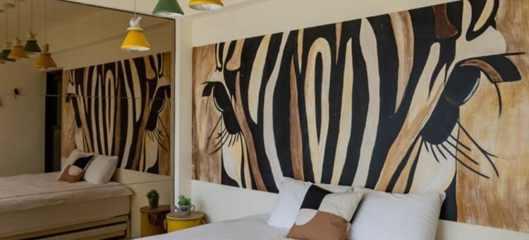 嗨斑马轻旅行图片