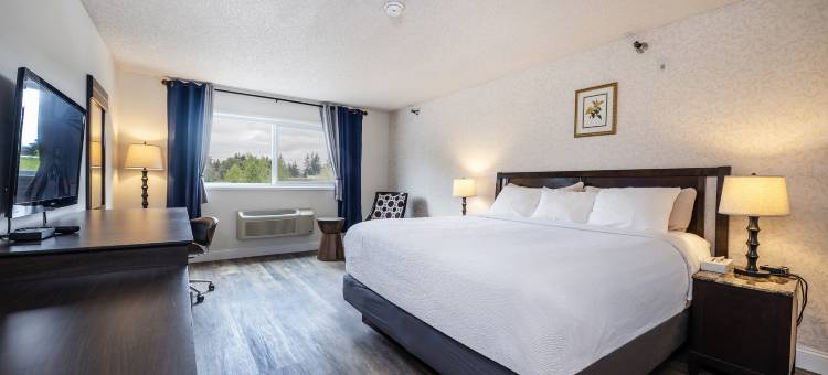 国际酒店(Hotel International)图片