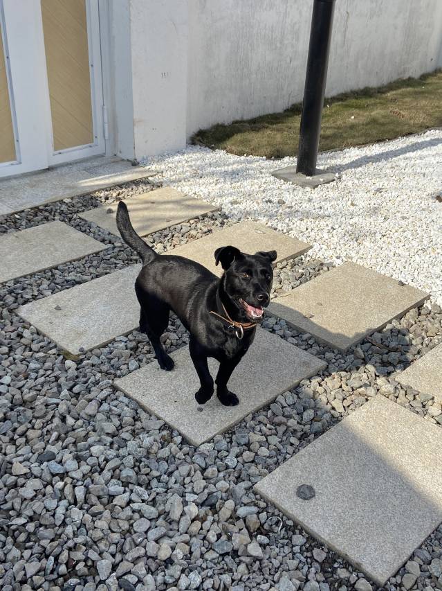 沐雲乐园云上民宿图片