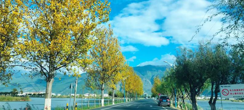 怡兰湾·Verve 轻奢庭院美宿(丽江三义国际机场店)图片