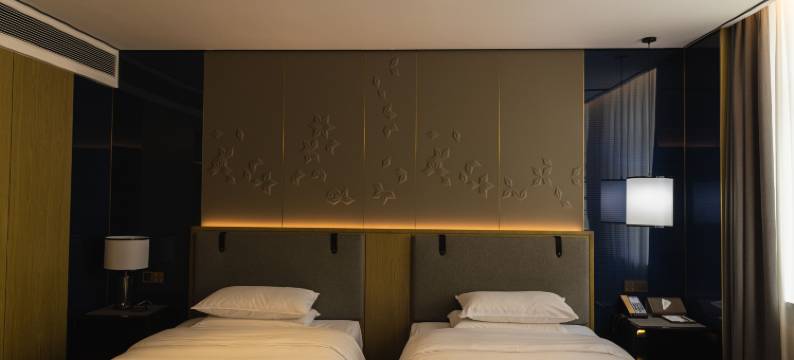 绥化GRACE雅致酒店图片