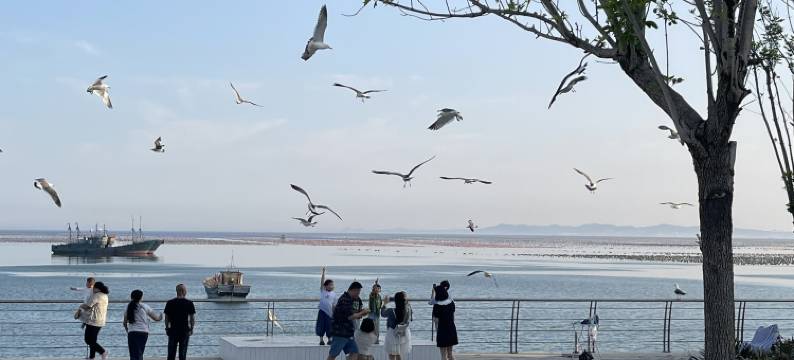 三梦季·落日海港度假民宿(西霞口动物园店)图片