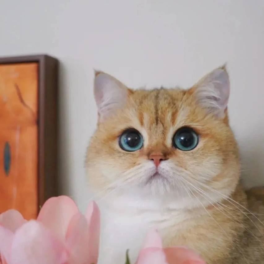 他山纪.化屋民宿(毕节黔西乌江源百里画廊化屋风景区店)图片