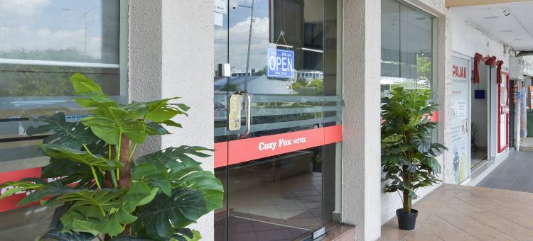 OYO 91158 舒适狐狸酒店(Hotel O Cozy Fox Hotel)图片