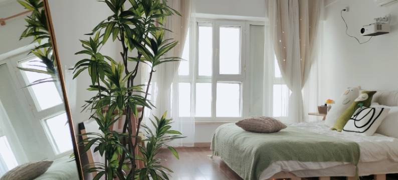 西柚民宿(长春红旗街万达广场店)图片