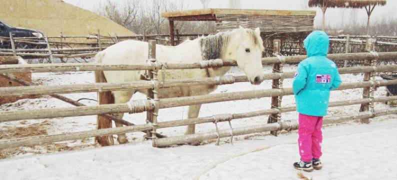 沙星之湖观星露营酒店图片