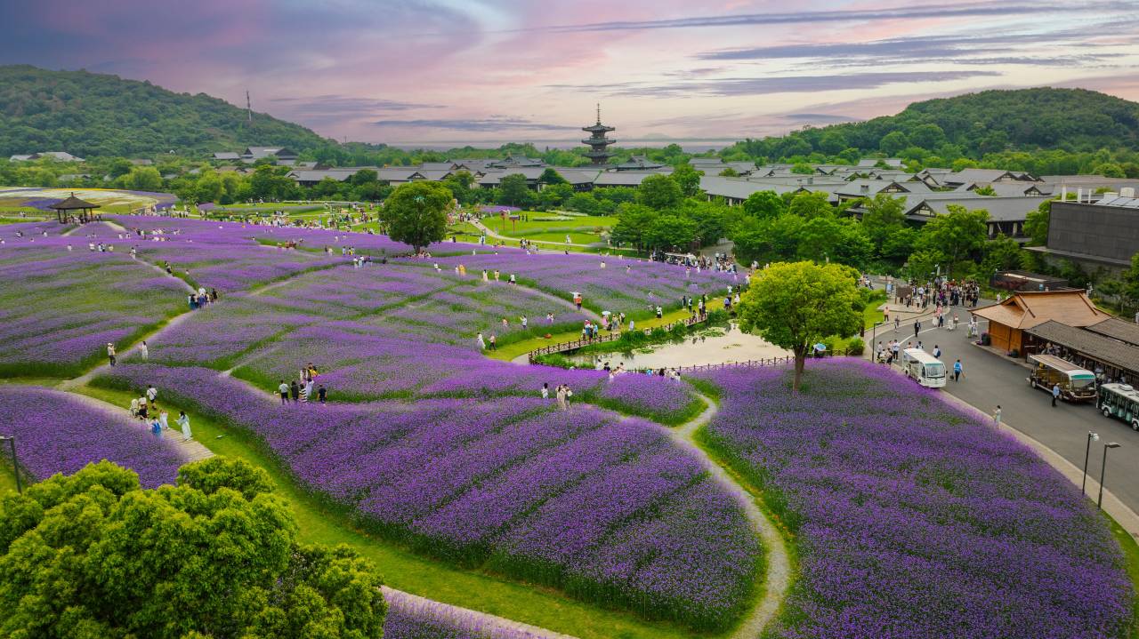 无锡拈花湾波罗蜜多酒店(拈花湾景区店)图片