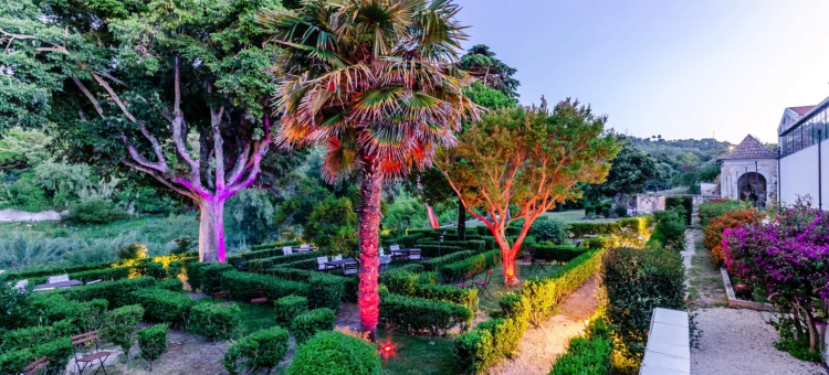 WOT 薩拉佐拉靈魂(WOT Sarrazola Soul)图片