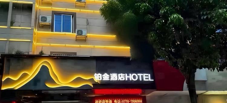 河池铂金酒店(宜州汽车总站河池学院店)图片