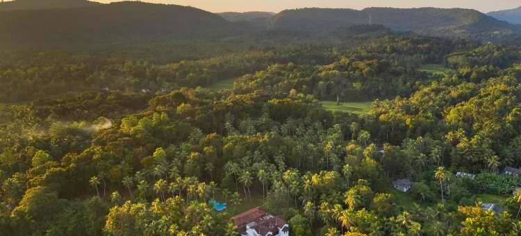 Jetwing Wahawa Walauwa, 豪华保护区(Jetwing Wahawa Walauwa, A Luxury Reserve)图片