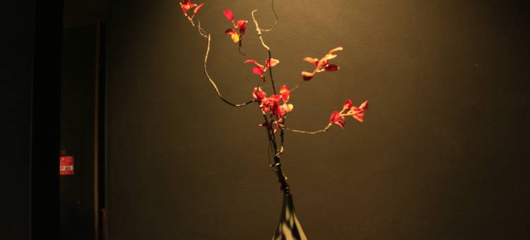 埔舍花园艺术酒店(东莞石排公园利丰城市广场店)图片