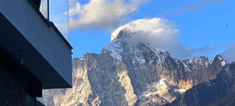 四姑娘山绿绒蒿MECONOPSIS金山庄园图片