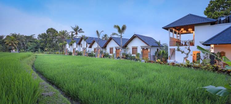 乌布阿斯卡亚(Ascarya Ubud)图片