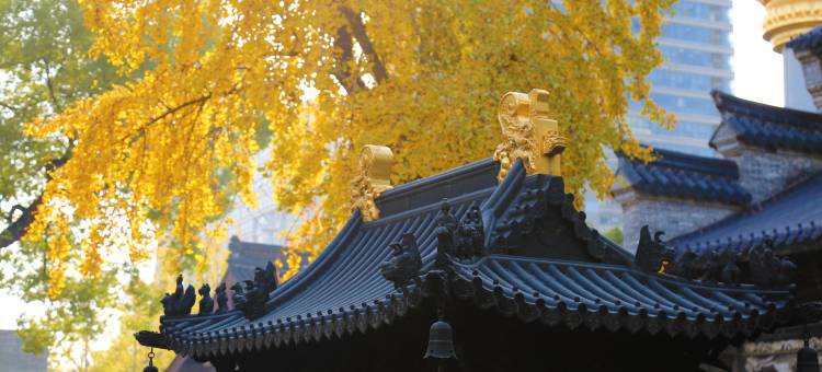 宁波香格里拉大酒店图片