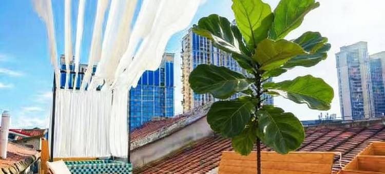 安楠舍酒店(漳州古城店)图片