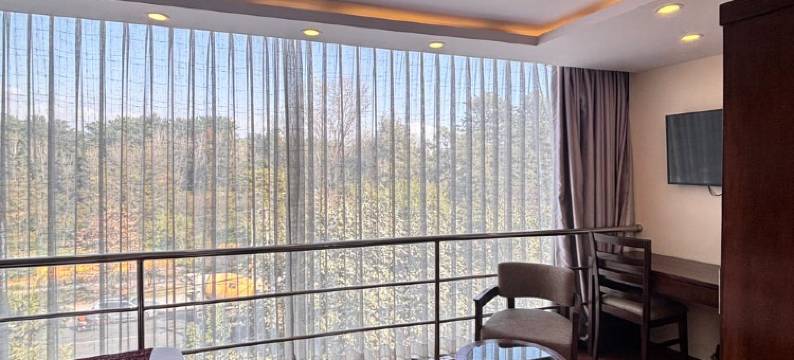 埃佩克斯商务酒店(Apex Business Hotel - Tribhuvan International Airport, Kathmandu)图片