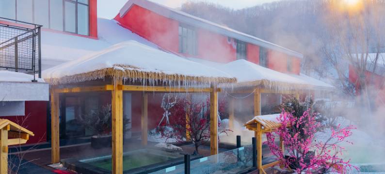 望春山硒悦温泉酒店图片