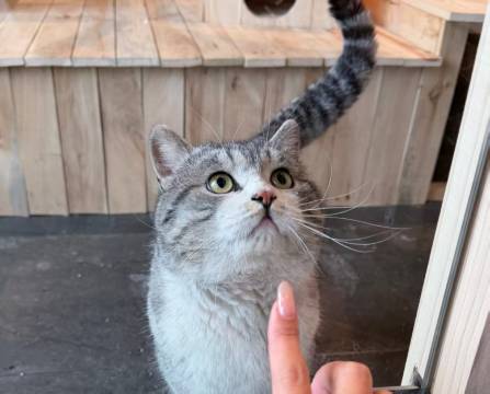 那日·泊设计师度假民宿(长白山西站店)图片