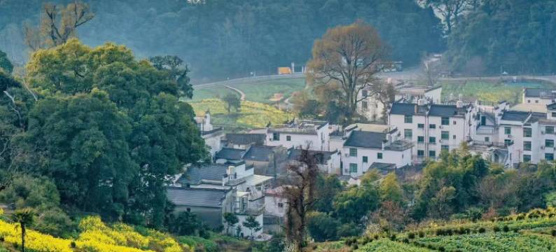 婺源江月风行客桟图片