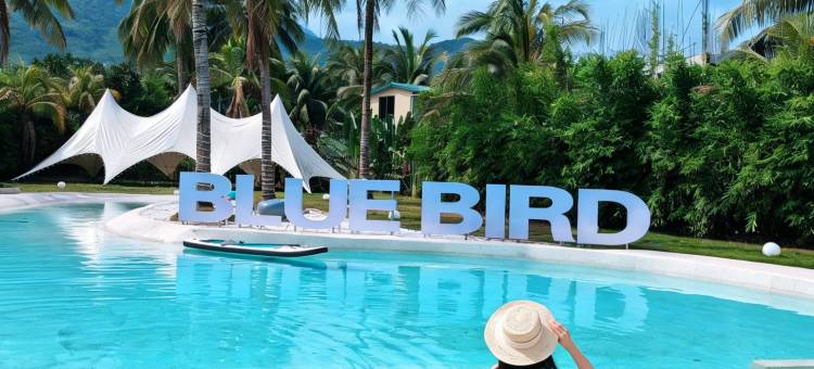 万宁青鸟逸筑 Blue Bird·无边泳池 ins 风设计师海墅(日月湾店)图片