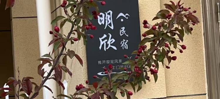 明欣海景民宿图片