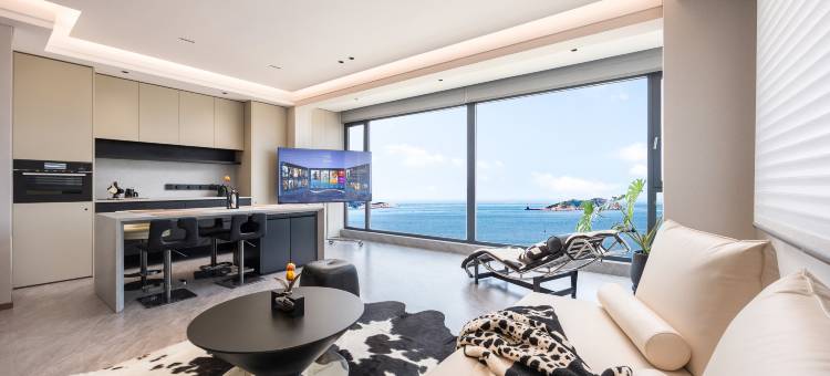 山海观·Seaview Villa·全海景·观日落民宿图片