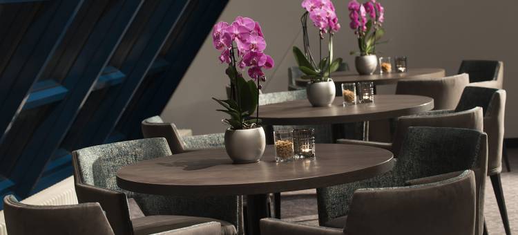 纽伦堡菲尔特Radisson Individuals卓越酒店(Excelsior Hotel Nürnberg Fürth, a Member of Radisson Individuals)图片